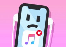 Fix Apple Music Not Working on iPhone [6 Methods]