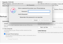 iTunes Backup Password: How to Recover and Change it – 2024 Guide