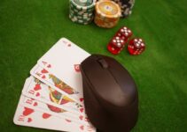 5 Best Casino Games to Play Online in 2024