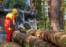 5 Useful Firewood Equipment For Wood Processing in 2024