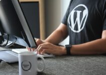 6 Things Every WordPress Developer Needs to Know