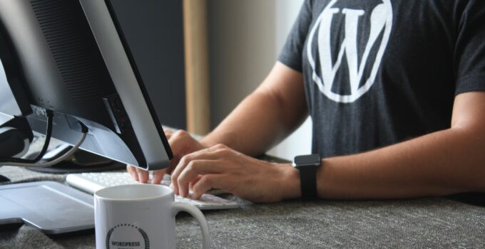 Traits of the Best Custom WordPress Development Agencies in 2024