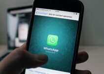 How to Back Up Your WhatsApp Chats – 2024 Guide