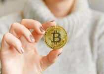 Will Bitcoin Go Up If The Stock Market Crashes?