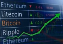 6 Reasons Why Are Cryptocurrency Markets So Volatile – 2024 Guide