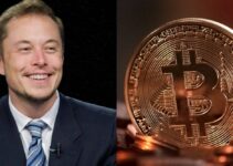 3 Things Elon Musk Can Teach Us About Cryptocurrency