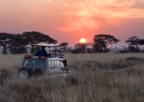 6 Great African Road Trips