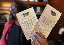 What’s the Difference Between Mega Millions and Powerball Lottery?