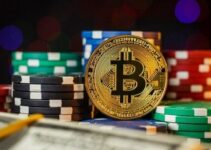 Bitcoin Casinos