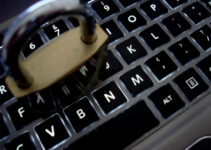 6 Top Ways to Prevent Data Theft in Your Business