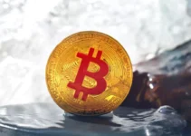 The Top 5 Bitcoin Faucets of 2024: Which Ones Are Worth Your Time?