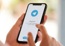 How to Build a Telegram Business and Add More Subscribers