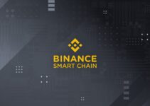 Building on Binance Smart Chain API: A Comprehensive Guide