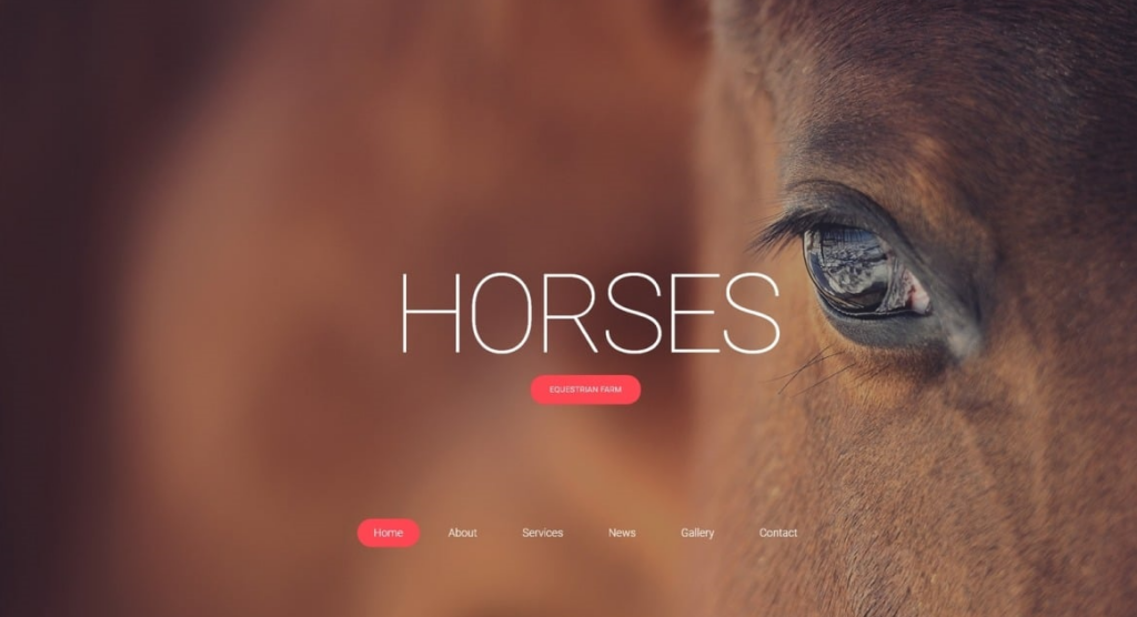 Horse-Themed Website