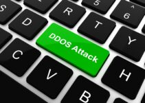 Battle Against DDoS Attacks: How Dedicated Servers Provide Defense