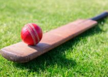 Your Guide To IPL Betting: Navigating The Digital Landscape With Cybersecurity (2024)