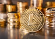 Litecoin Wager Safety: Debunking Concerns About Gambling