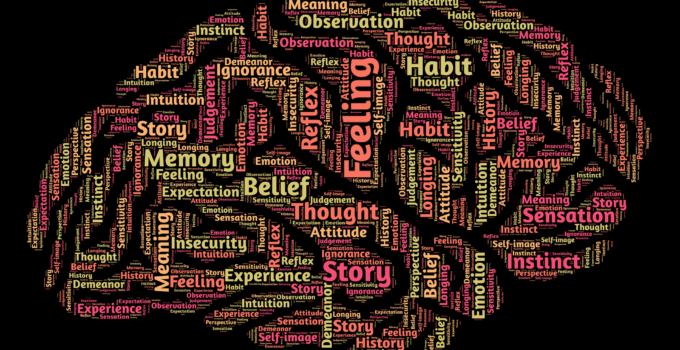 The Role of Personality Traits in Job Performance and Organisational Fit
