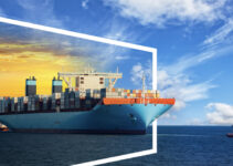 The Pivotal Role of Shipping Management Software in Modern Businesses
