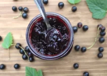 20 Breakfast Ideas That Pair Perfectly with Blackcurrant Jam