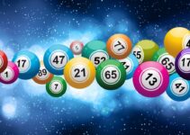 4 Bingo Facts To Know: Guide 101