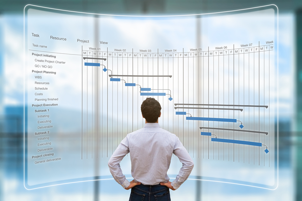 Evaluating Different SOW Software Options