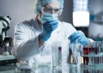 In Vitro Insights: Navigating Toxicology Testing Services