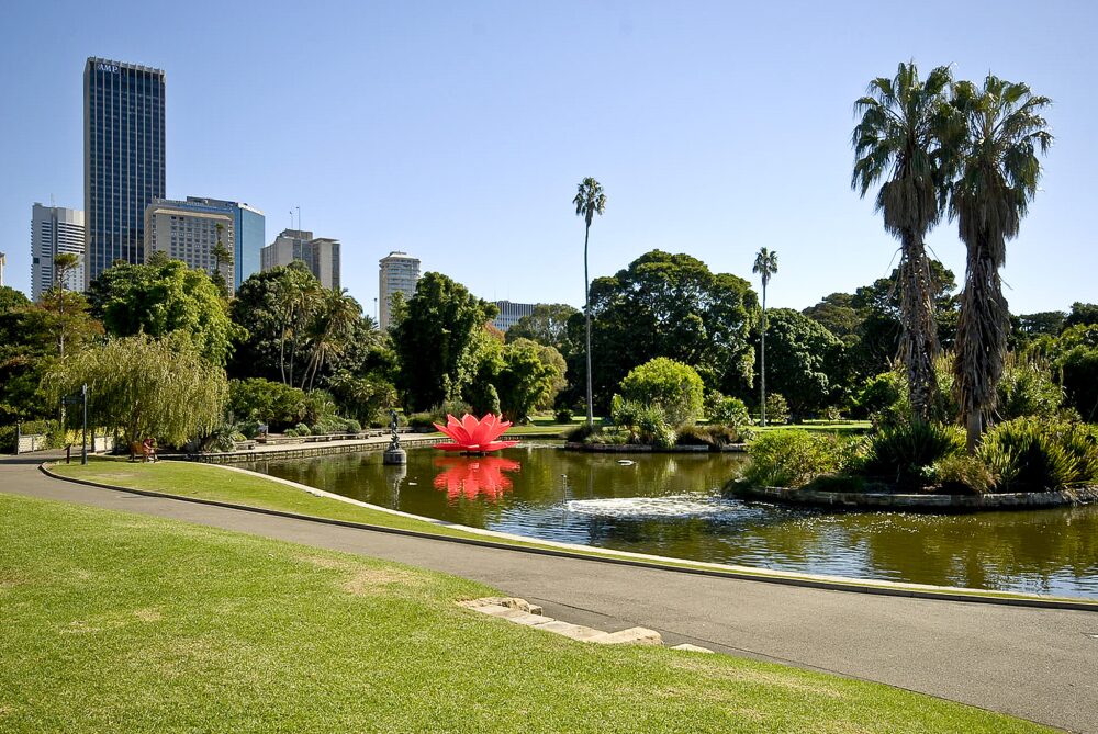 Sydney Royal Botanic Garden