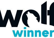 Dive into the Exciting World of Wolf Winner Online Casino