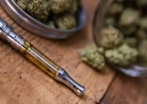 CBD Vape Pens: Tips For Beginners And Storage Guidelines