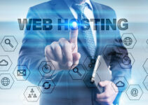 The Basics of Web Hosting ─ What Every Site Owner Should Know
